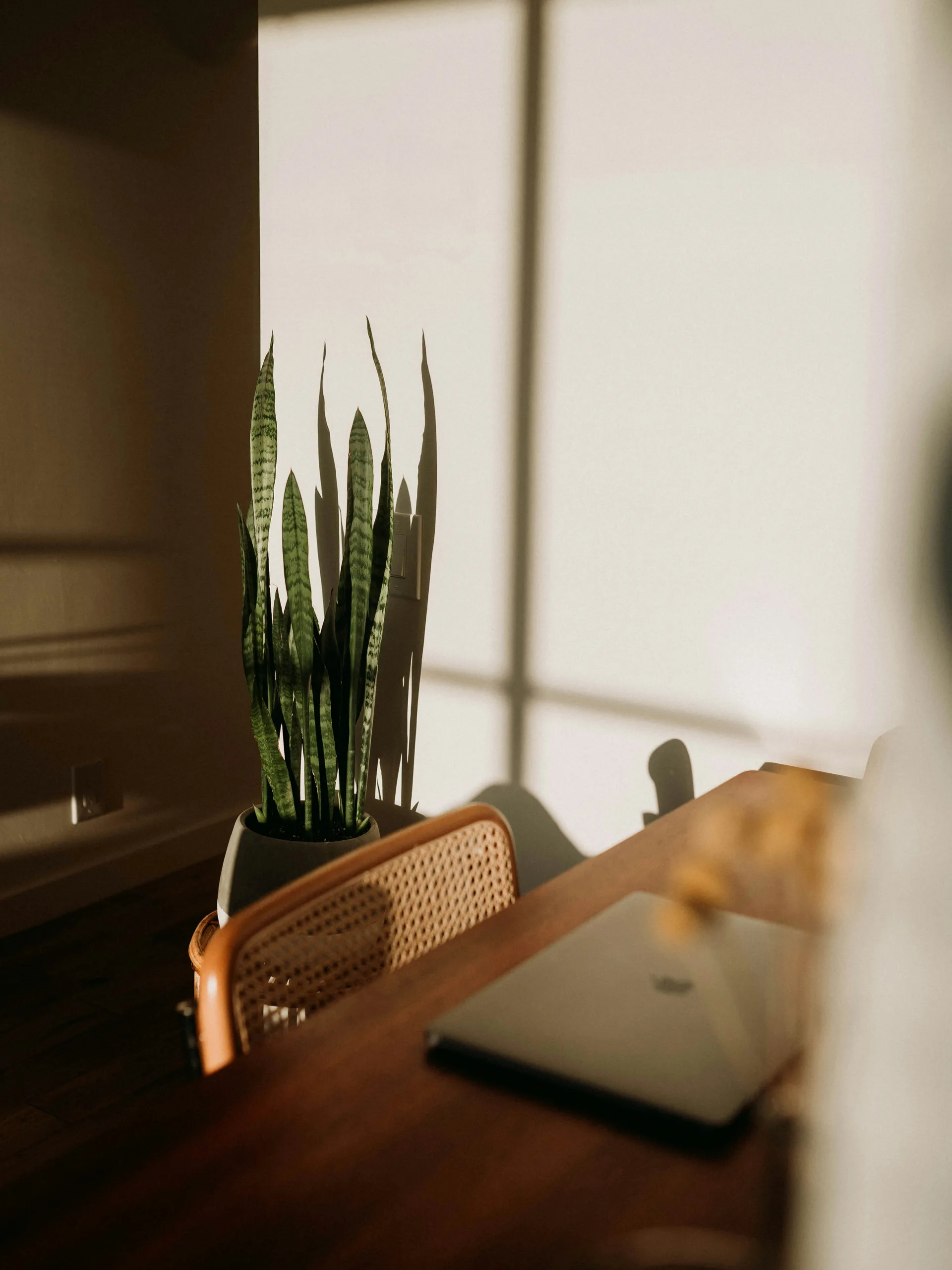Perto Studio Workspace